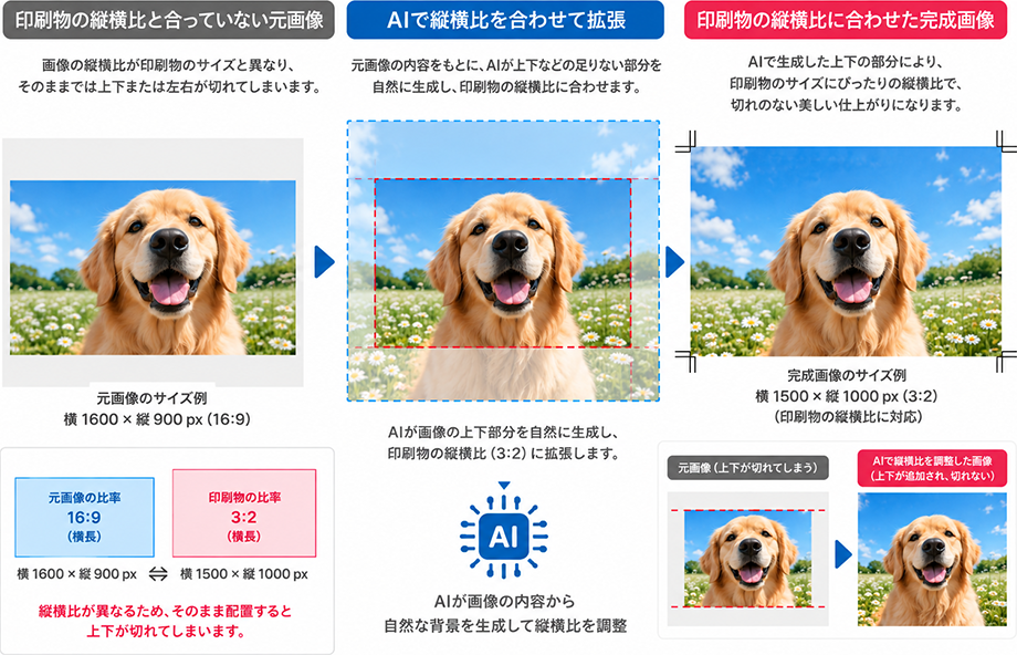 縦横比について